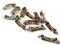 10 39mm Vintage French Barrette Nickel Plated Steel Hair Clips